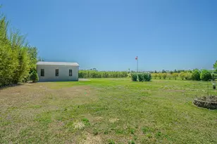 32646 Wesley Way, Dade City, FL 33525 - Photo 19