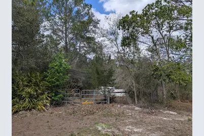0 Gannet Avenue, Weeki Wachee, FL 34613 - Photo 9