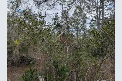 0 Gannet Avenue, Weeki Wachee, FL 34613 - Photo 11