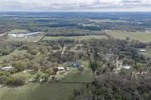 15131 Bellamy Brothers Blvd, Dade City, FL 33525 - Photo 3