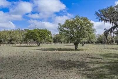 15131 Bellamy Brothers Boulevard, Dade City, FL 33525 - Photo 87