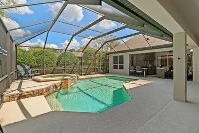 21300 Sky Vista Drive, Land O Lakes, FL 34637 - Photo 3