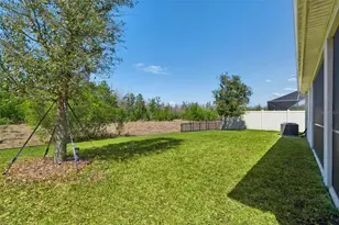 2959 Storybrook Preserve Dr, Odessa, FL 33556 - Photo 43