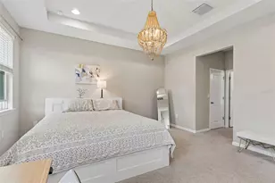 2959 Storybrook Preserve Dr, Odessa, FL 33556 - Photo 19