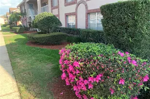 6424 Spring Flower Dr, New Port Richey, FL 34653 - Photo 3