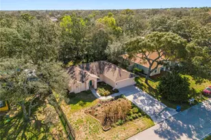 2396 Galahad Ave, Spring Hill, FL 34608 - Photo 41