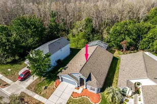 4045 Marchmont Blvd, Land O Lakes, FL 34638 - Photo 5