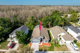 4045 Marchmont Blvd, Land O Lakes, FL 34638 - Photo 3