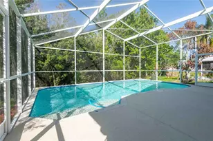 4045 Marchmont Blvd, Land O Lakes, FL 34638 - Photo 35