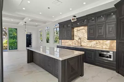 8609 Dolce Vita Lane, Odessa, FL 33556 - Photo 23