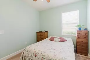 6516 Salt Creek Ave, Apollo Beach, FL 33572 - Photo 47