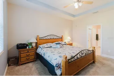 6516 Salt Creek Avenue, Apollo Beach, FL 33572 - Photo 37