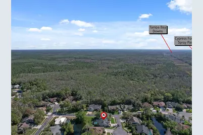 10 Windrush Court, Oldsmar, FL 34677 - Photo 47