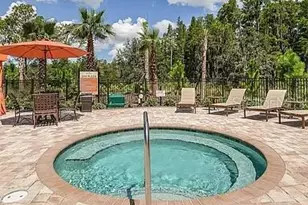 11119 Callisia Dr, Odessa, FL 33556 - Photo 27