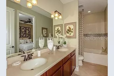 11119 Callisia Drive, Odessa, FL 33556 - Photo 13