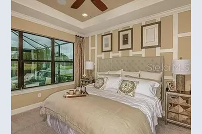 11119 Callisia Drive, Odessa, FL 33556 - Photo 9