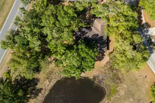 24180 Landing Dr, Lutz, FL 33559 - Photo 43