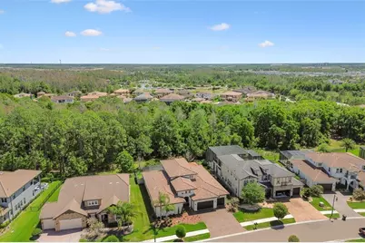 29190 Picana Lane, Wesley Chapel, FL 33543 - Photo 89