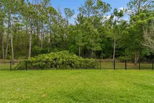 29190 Picana Ln, Wesley Chapel, FL 33543 - Photo 29