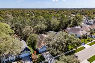 3732 Hollow Wood Dr, Valrico, FL 33596 - Photo 43