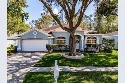 3732 Hollow Wood Drive, Valrico, FL 33596 - Photo 1