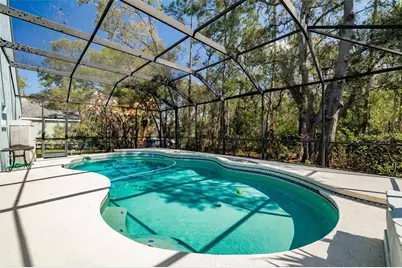 3732 Hollow Wood Drive, Valrico, FL 33596 - Photo 31