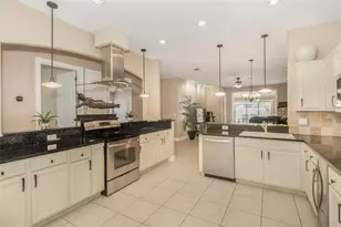 19331 Haskell Pl, Land O Lakes, FL 34638 - Photo 9