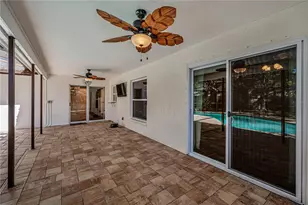 321 Arbor Dr E, Palm Harbor, FL 34683 - Photo 17