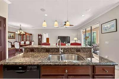 144 Silver Falls Drive, Apollo Beach, FL 33572 - Photo 15
