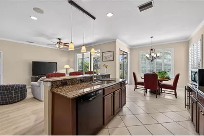 144 Silver Falls Drive, Apollo Beach, FL 33572 - Photo 13