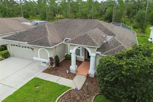 2159 Warwick Dr, Oldsmar, FL 34677 - Photo 41