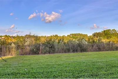 3124 Hilliard Drive, Wesley Chapel, FL 33543 - Photo 3