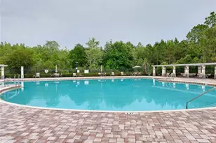 3124 Hilliard Dr, Wesley Chapel, FL 33543 - Photo 63