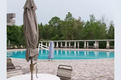 3124 Hilliard Drive, Wesley Chapel, FL 33543 - Photo 51