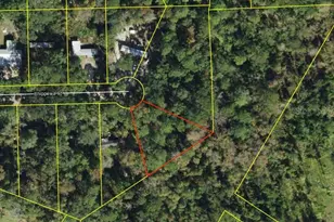 Chippewa Ct, Havana, FL 32333 - Photo 1