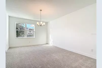 4614 W Euclid Avenue, Tampa, FL 33629 - Photo 11