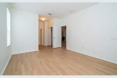 8210 Canary Canyon Way, Tampa, FL 33647 - Photo 29