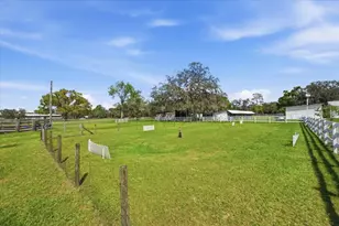 9449 Roberts Rd, Odessa, FL 33556 - Photo 61