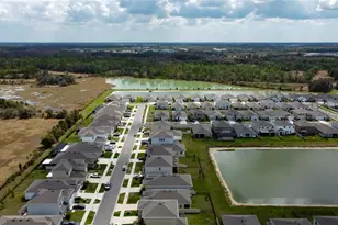 33888 Field Maple Loop, Wesley Chapel, FL 33545 - Photo 55