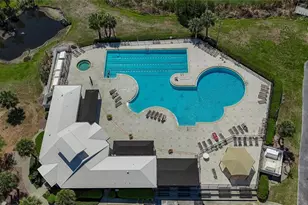 10018 Cannon Dr, Riverview, FL 33578 - Photo 65