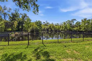 5622 Osprey Park Pl, Lithia, FL 33547 - Photo 55