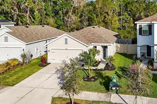 32865 Brooks Hawk Ln, Wesley Chapel, FL 33543 - Photo 65