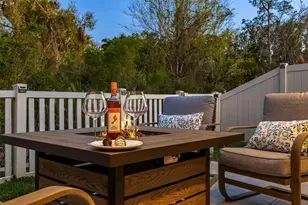 32865 Brooks Hawk Ln, Wesley Chapel, FL 33543 - Photo 77