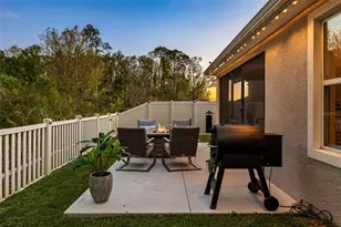 32865 Brooks Hawk Ln, Wesley Chapel, FL 33543 - Photo 79