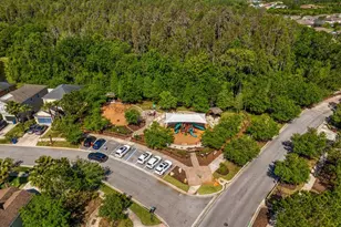 32865 Brooks Hawk Ln, Wesley Chapel, FL 33543 - Photo 91