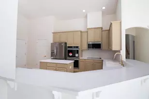 3439 Hickory Hammock Loop, Wesley Chapel, FL 33544 - Photo 75