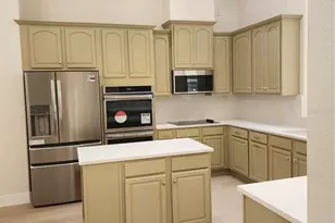 3439 Hickory Hammock Loop, Wesley Chapel, FL 33544 - Photo 51