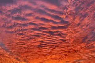 4895 Bay St NE, Saint Petersburg, FL 33703 - Photo 15