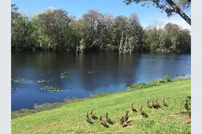 7433 Terrace River Drive, Tampa, FL 33637 - Photo 15