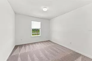9877 Trellis Vine Wy, Parrish, FL 34219 - Photo 13